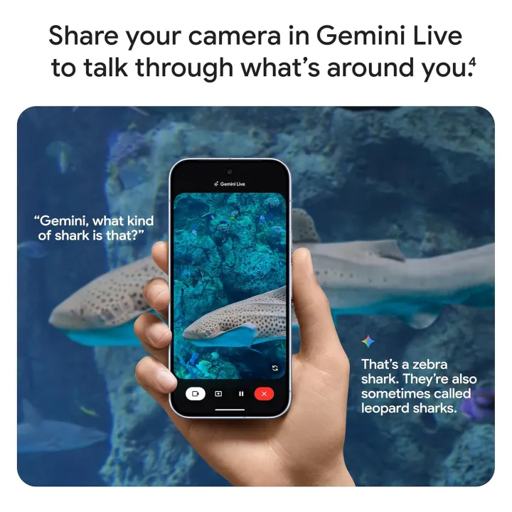 Google Pixel 10 Pro 256GB | 512GB