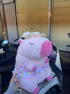 Gấu Bông Capybara đeo phao vịt đi biển cute Gấu bông chuột lang mặt áo đi biển