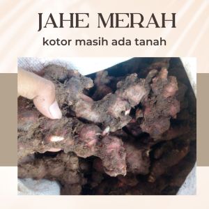 JAHE MERAH MEDAN SEGAR 1kg