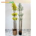 Pohon Artificial Tanaman Hias Song Of India T170 Variasi Warna Kuning & Putih Latex Cover Eceng Gondok Handle Dekorasi Ruangan Kantor Aesthetic. 