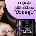 Pany Premium Gloss Treatment Spa 300ml. ปานี่ พรีเมี่ยม กลอส ทรีทเม้นท์ สปา เคลือบแก้ว. 