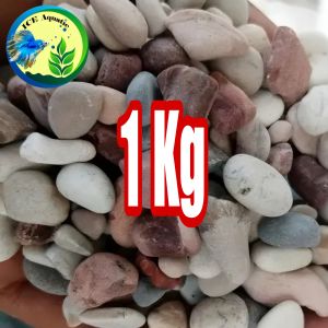 BATU AQUARIUM PANCAWARNA 1KG DEKORASI AQUARIUM DAN TAMAN