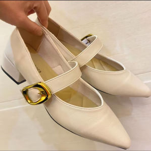 Free Shipping Pointed-Toe Chunky-Heeled High Heels For Women New Style Elegant And Sophisticated Comfortable To Wear Low-Heeled Shoes Spring Leather Shoes