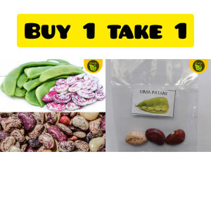 All in! LIMA PATANI 3 seeds binhi pantanim vegetable seeds for planting