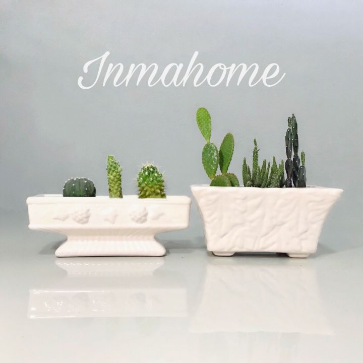กระถางเซรามิกสีขาวสำหรับจัดสวนขนาดเล็ก inmahome