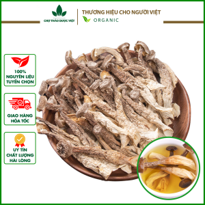 Nấm lộc nhung 1kg nấm quý cao cấp nấu canh bổi bổ sức khỏe - Chợ Thảo Dược Việt