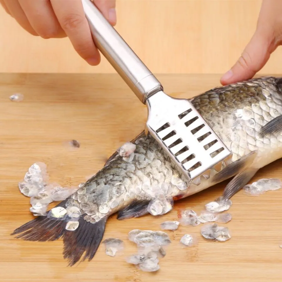 The Good Home Shop - Stainless Steel Fish Scaler Faster Scraping