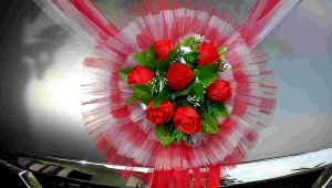 Bunga Mobil Pengantin Gradasi Warna