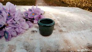 Chậu bonsai siêu mini có gờ Bát Tràng men hoả biến