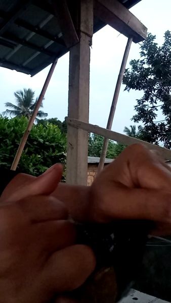 Buyer review video 3