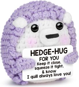 Pocket Hug Hedgehog Gift for Women Men Emotional Keepsake for Best Friend Long Distance Relationship Gifts for Boyfriend Girlfriend Get Well Soon Anxiety Relief Crochet Decor