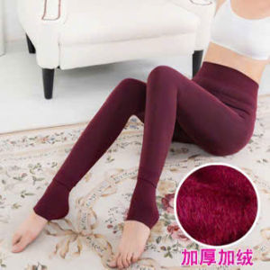 [GIỮ NHIỆT] Quần Legging Nữ Lót Lông Giữ Ấm Hàng Loại 1 Nhiều Màu Sắc Co Giãn Cực Tốt
