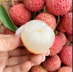 Original Dwarf Lychee Seeds for Planting Fruits (High Germination 6 Seed)