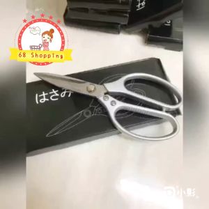 Japanese stainless steel scissors SK5