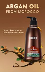 Argan Oil shampoo and Conditioner To Eliminate Frizz Flyaway And Reduce Breakage 100% Pure Argan Oil Treatment 350ml