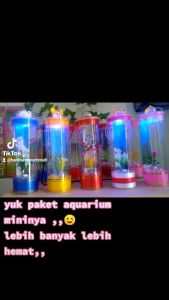 Paket Souvenir 20PC Aquarium Mini Ikan Kecil/Cupang Harga Lebih Hemat Lengkap Dengan Lampu Warna-Warni Free Batre