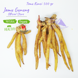 Temu Kunci Segar 500gr Organik - Bumbu Sayur Bening dari Gunung Kidul