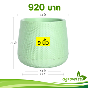 กระถาง กระถางต้นไม้ มินิมอล เบลล่า ขนาด 9 นิ้ว สีเขียวพาสเทล 10 ใบ ชิ้น อัน