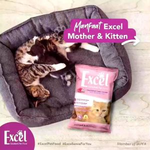Excel Mother & Kitten Paket 2 Kg Rasa Ayam & Tuna Bentuk Segitiga
