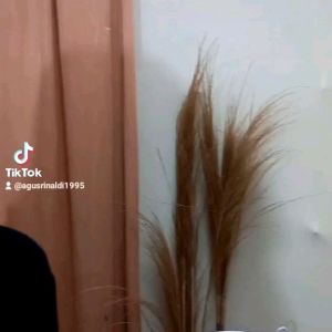 Pashmina Instant Pet Antem Ceruty Baby Doll