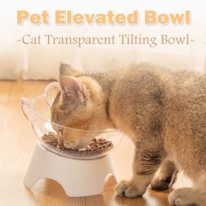 Tilted Pet Feeder Bowl Cat Food Water Transparent Elevated Bowl Pet Neck Protective Plate Bowl Pet Supplies Mangkuk Kucing