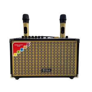 Loa di động POL.Z P02 công suất RMS 40W.