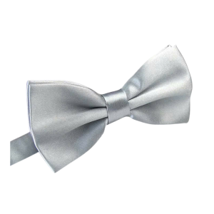 Nơ Cài Cổ Polyester Lụa Nam Tiệc Cưới Dự Tiệc Hợp Thời Trang Màu Thắt Nơ