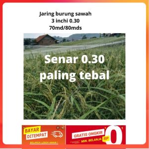 Jaring burung sawah senar paling tebal 0.30 Lebih awet jaring padi jaring burung jebakan burung jaring sawah jaring padi sawah jaring pengaman jaring burung murah jaring sawah