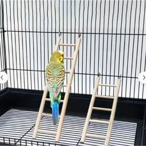 CUTE ELVES Creative Practical with Hooks Bird Cage Toy for Lizard Parakeet Hanging Parrot Climbing Frame Parrot Perch Birds Ladders Hamsters Toys