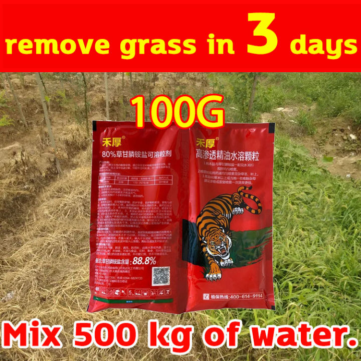 Remove Grass In Daysweed Killer Grass Killer Effective Grass Killer