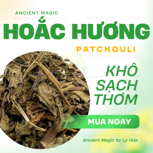 100g HOẮC HƯƠNG (Patchouli) khô loại 1 | Ancient Magic by Ly Hỏa