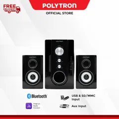 Polytron multimedia store audio pma 9505