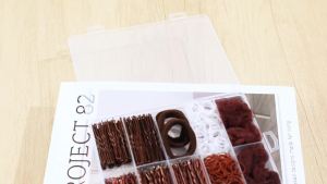 570Pcs Black Bobby Pins for Women 2 & 2.4In Hair Pins Kit with Hair Nets 2 Styles U-shaped and Straight Metal Hairpins Bulk for Wedding Bridal Styling Updos Buns Clips Hair Accessories Storage
