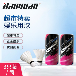 Badminton Racket 6pcs Set Sports Fitness Rackets Professional Iron Alloy Badminton Racket training racket Adult Children Racket for Amateur beginner intermediate with 3 Shuttlecocks and Carrying Bag 羽毛球拍