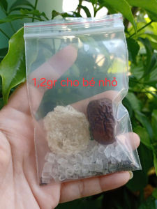 Sét yến sào tinh chế viên cho bé (12gr/viên) cam kết yến nguyên chất Yến sào Khánh Hoà
