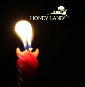 Lilin Lilin Lebah – Lilin Tegak (+/- 35g) Hadiah Mesra Alam Hiasan Rumah Lilin Hiasan Lebah - (Beeswax Candle – Straight Candle (+/- 35g) Eco-friendly Gift Home Decor Lilin Hiasan Lebah)