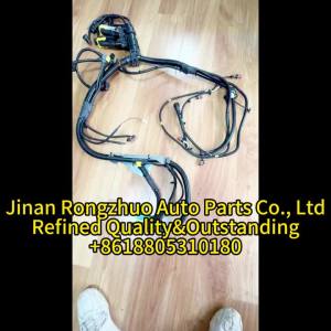 22343374 21875568 Engine wiring harness suitable for Volvo trucks