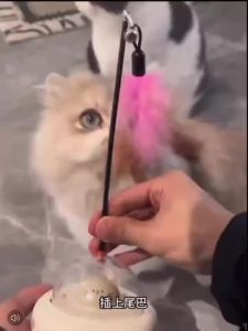 Cat Electric Toy 360 ° Rotating Cute Kitten Interactive Cat Teaser Point New Version