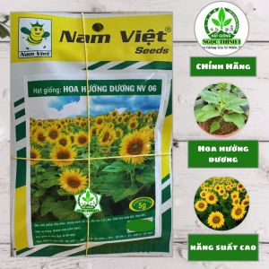 (Gói 5gr) Hạt Giống Hoa Hướng Dương NV 06 NAM VIỆT - Cánh hoa màu vàng tươi nhụy hoa màu đen