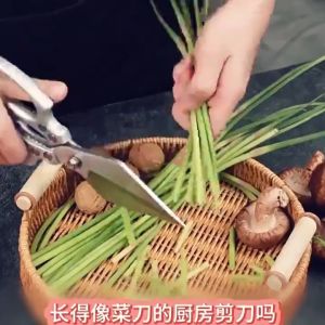New Stainless Steel Scissors Multi-Functional Household Kitchen Scissors