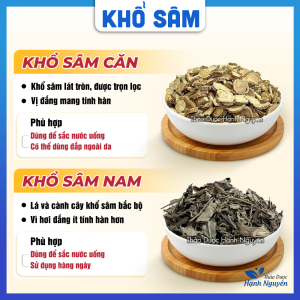 Khổ sâm bắc thái lát 100g khổ sâm căn lát tròn thơm - Thảo Dược Hạnh Nguyên