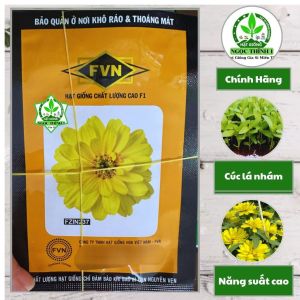 (Gói 20 hạt) Hạt Giống Cúc Lá Nhám Bán Kép ZIN237 FVN - Hoa màu vàng