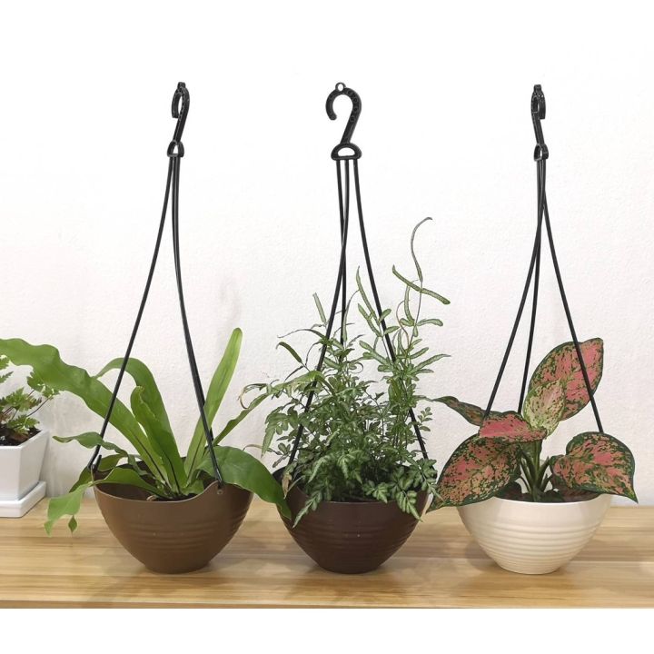 กระถางแขวนพลาสติก 20 ซม. หลากสี