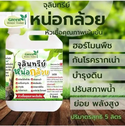 จุลินทรีย์หน่อกล้วย ฮอร์โมนพืช บำรุงดินและกำจัดรา