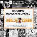 [PRINTS BY CHELLE] DR. STONE Anime Manga Panel Wall Decor Sticker - A6 4x6 Anime Sticker For Wall Design Manga Panels. 