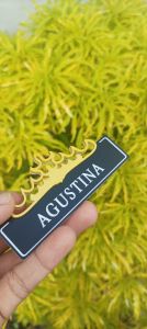 name tag nama dada siger lampung