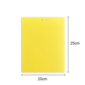 20 cái Bẫy ruồi vàng hai mặt Miếng Dán Bẫy Côn Trùngkích cỡ Siêu dính Hiệu quả CA666