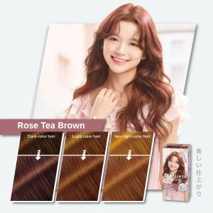 Liese Creamy Bubble Colour