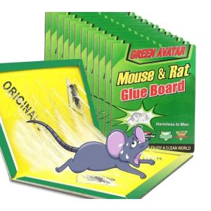 【New Arrivals】BGVP 10/20/30pcs Mouse Glue Large Mouse Rat Sticky Mice Rodent Glue Board Bait Trap Glue Rat Board Mouse Board Rodent Expert (🔥Super Strong Adhesion🔥) COD