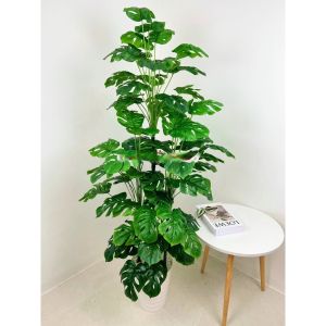 Cây trầu bà lá xẻ - Size 160cm - kèm chậu và sỏi trắng - Cây giả hoa lụa trang trí nhà cửa